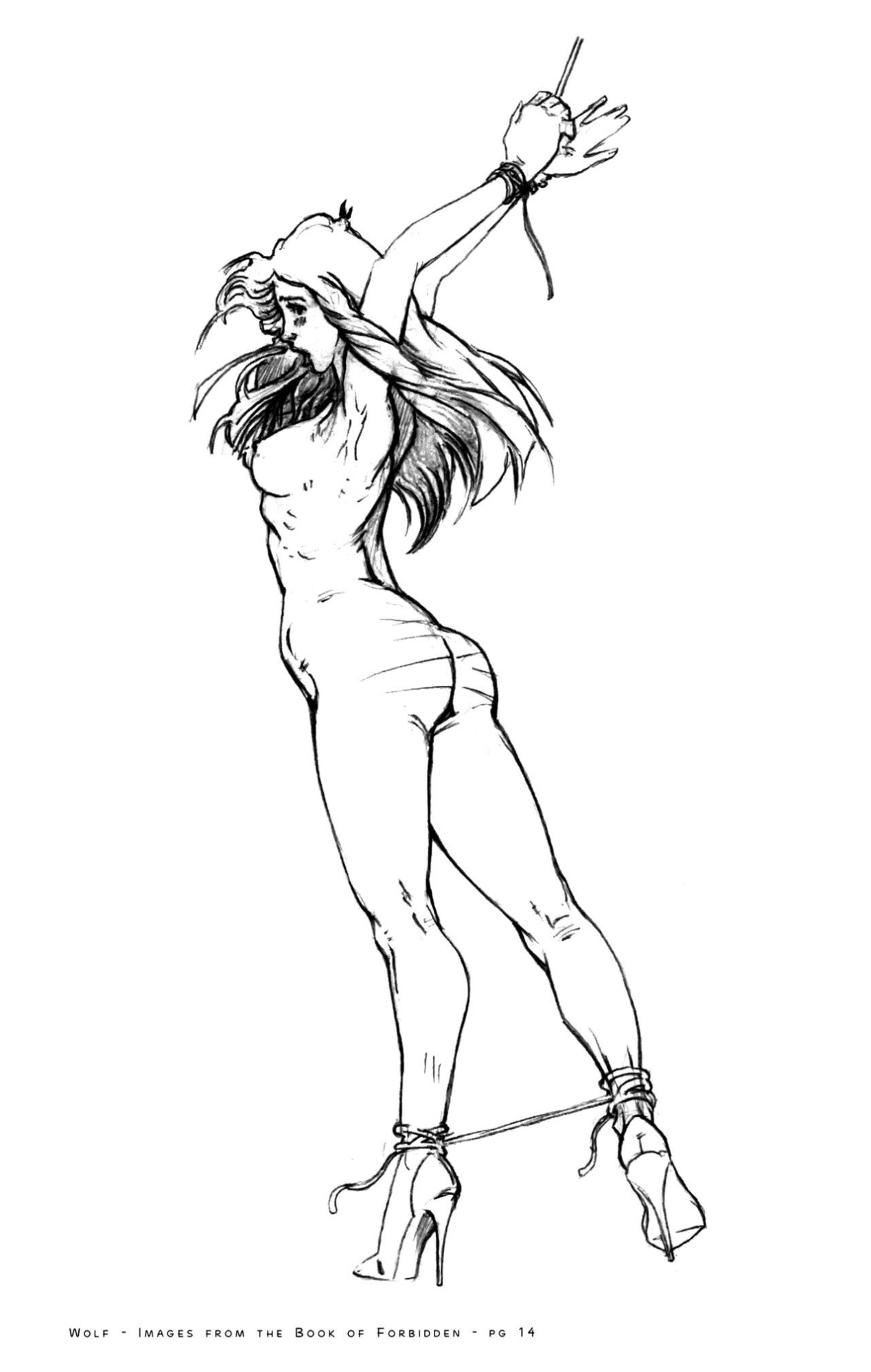 [Wolf] Images from the Book of Forbidden