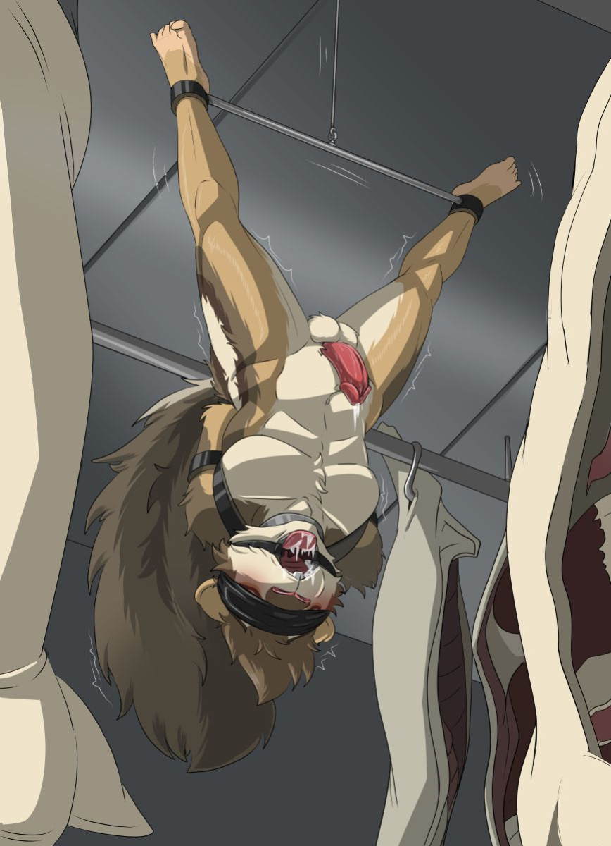 LiteraturaBDSM Furaffinity