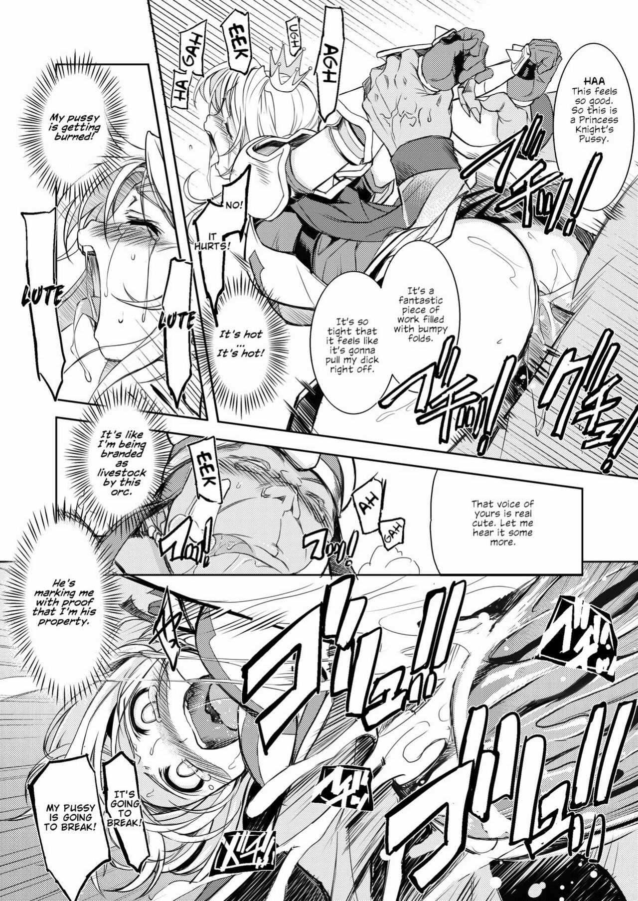 [Xration (mil)] Princess Knight Taming 1 (Ragnarok Online)