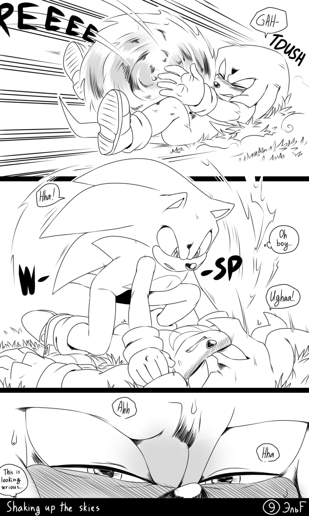 [KrazyELF] Shaking Up The Skies: Sonknux Comic