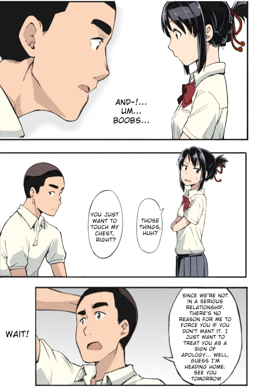 Shooting star (Kimi no Na wa. Another Side: Earthbound) [Ugeppa] (Colorized by mikakucoloring