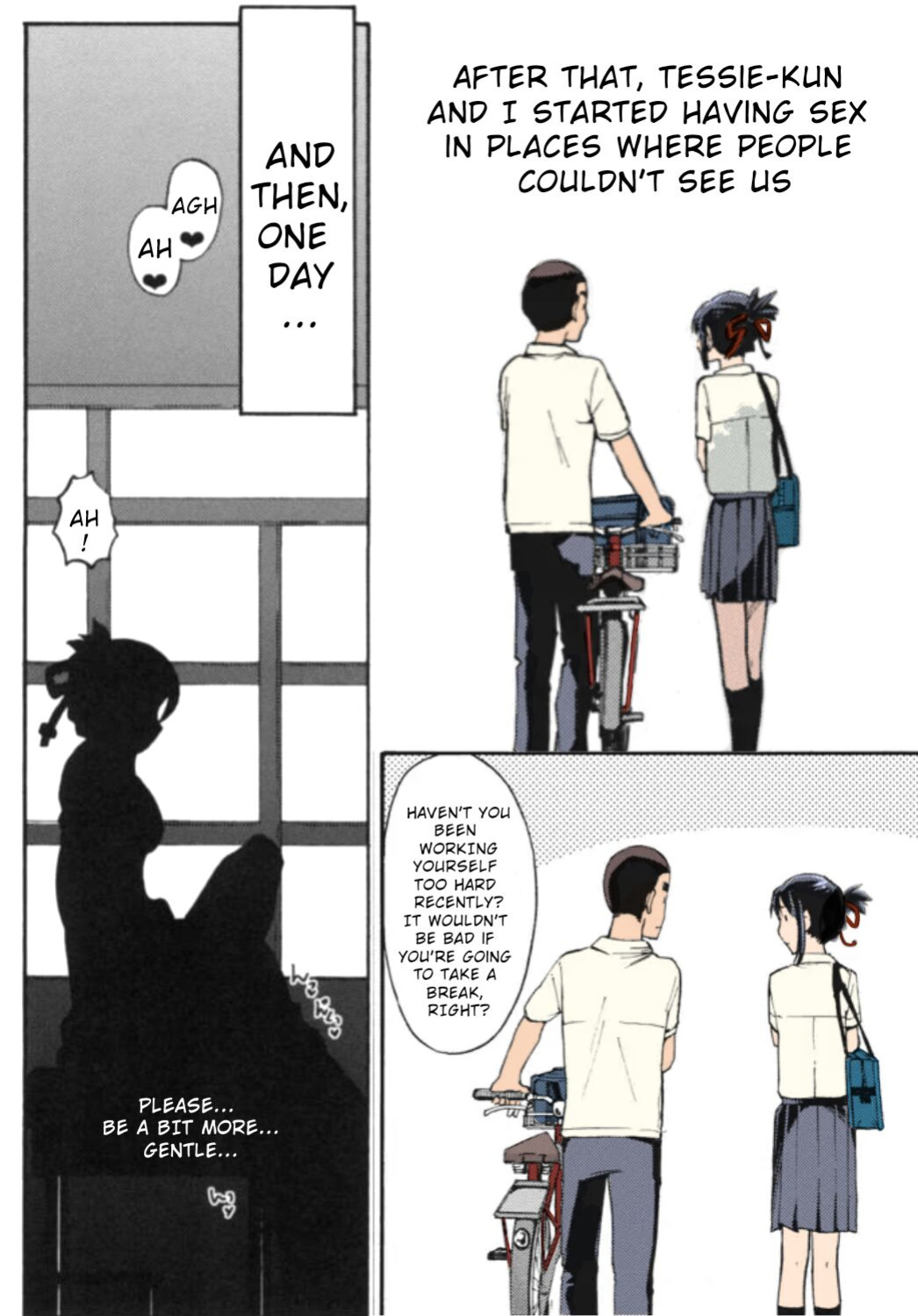 Shooting star (Kimi no Na wa. Another Side: Earthbound) [Ugeppa] (Colorized by mikakucoloring