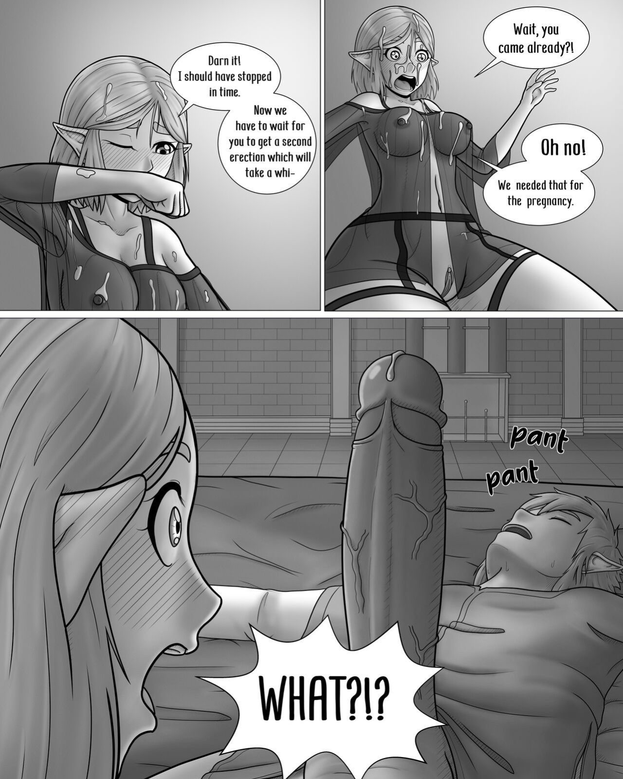 [A Lewd Weeb ] A Night with the Princess (The Legend of Zelda)