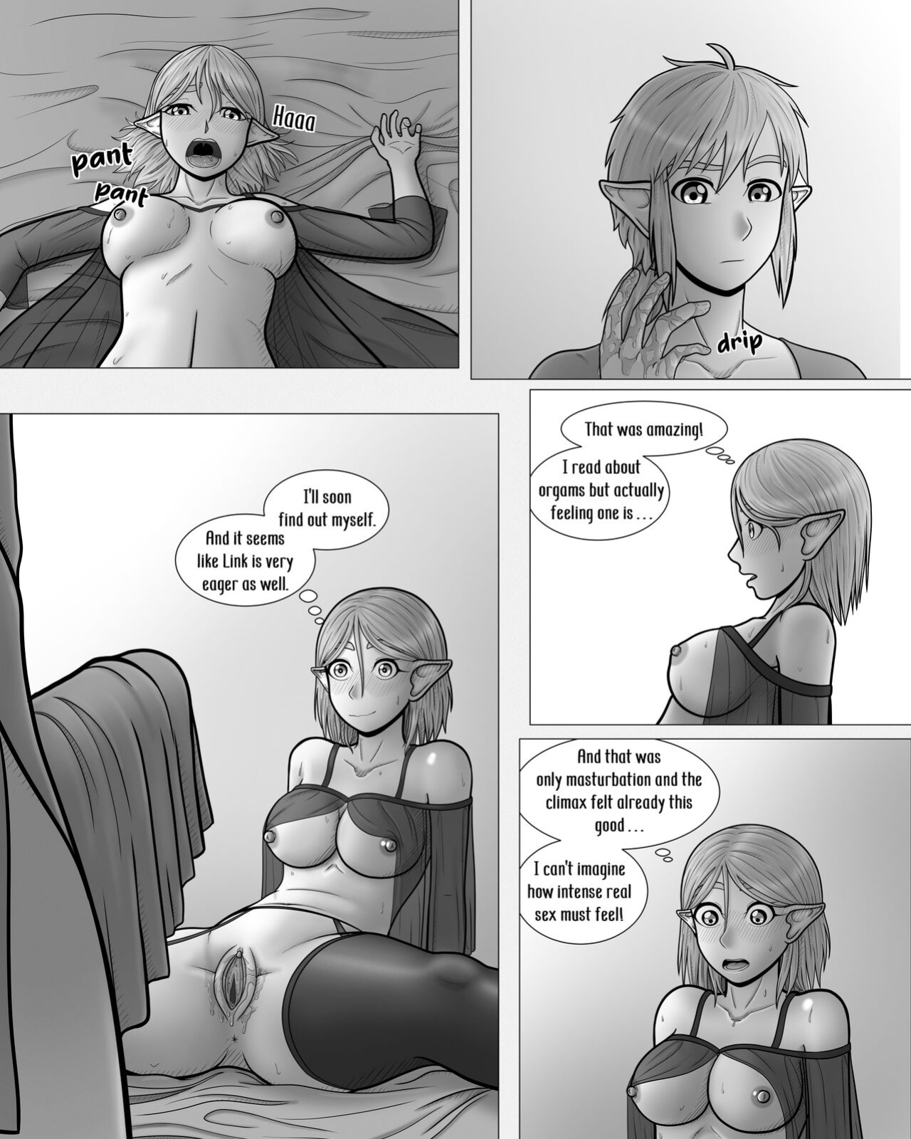 The Legend of Zelda: A Night with the Princess