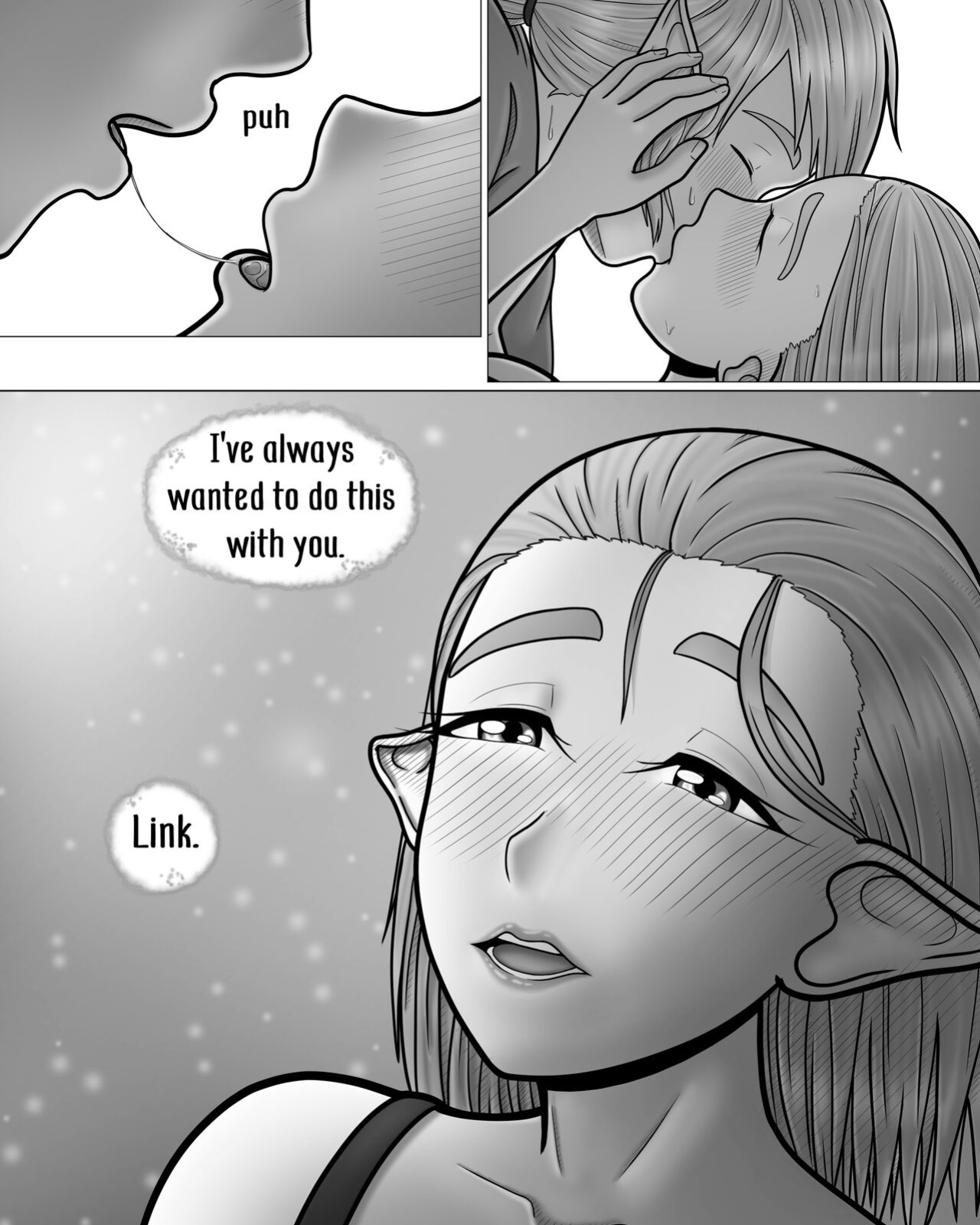 The Legend of Zelda: A Night with the Princess