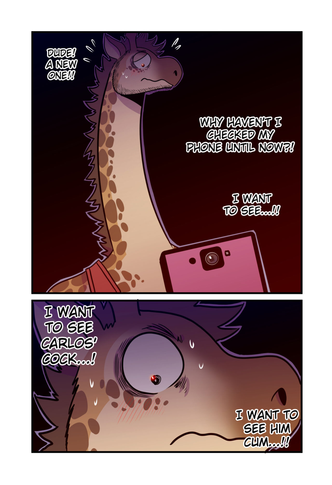 [T0L0K] Amateur