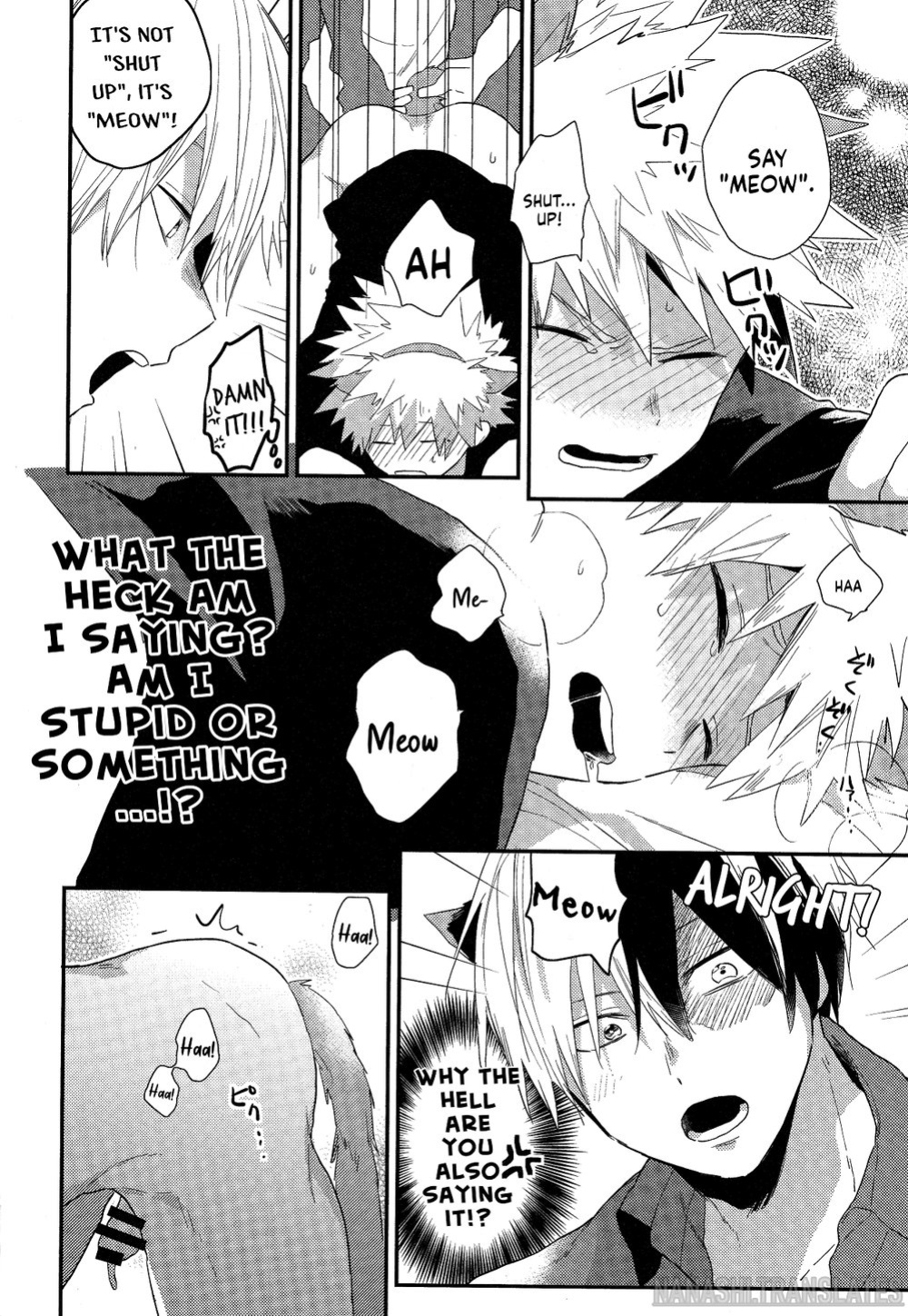 [Geranium (Kei)] Neko Biyori (My Hero Academia) {Nanashi.Translates}
