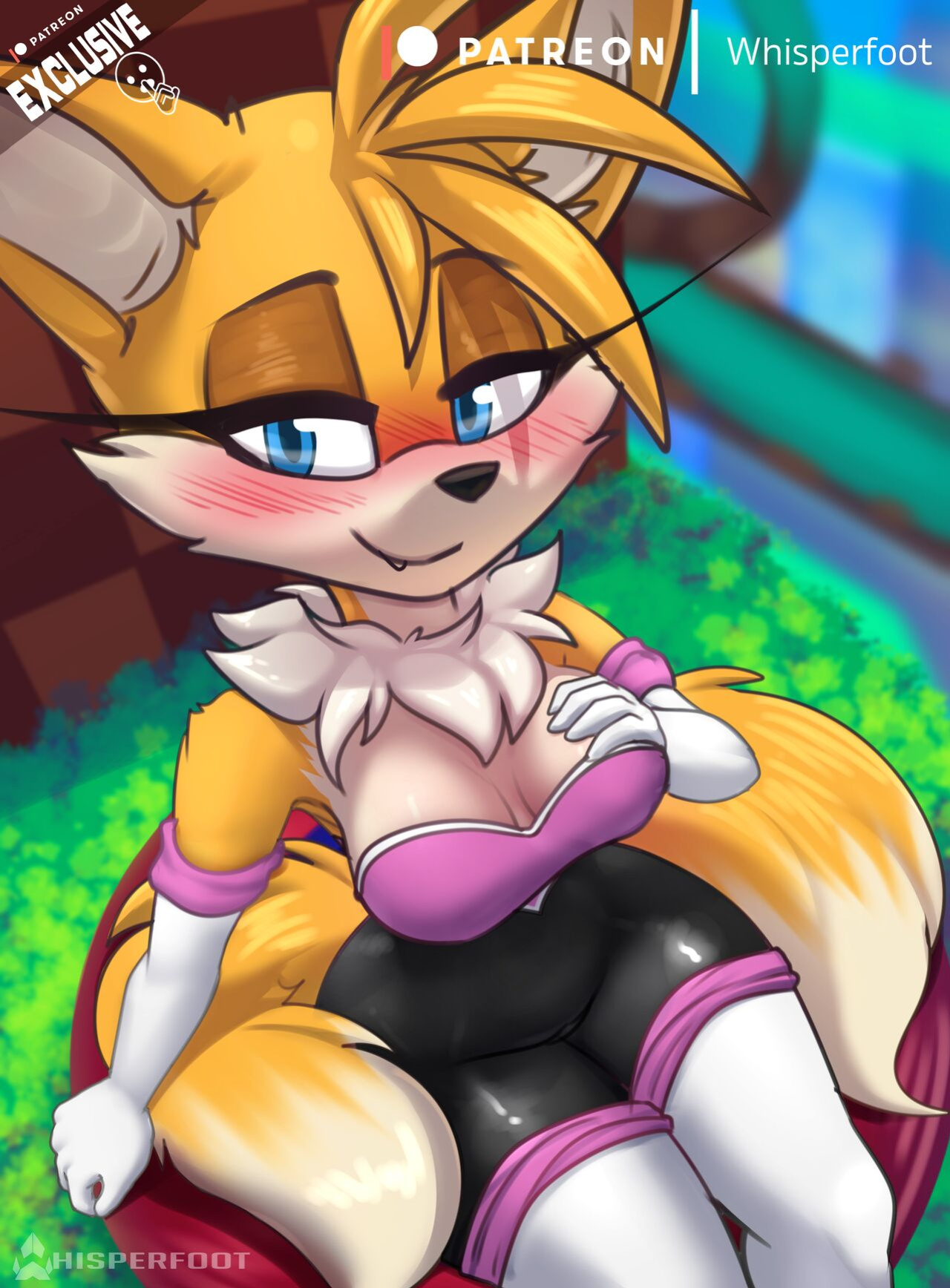 Tailsko Spring Board~ (Sonic the Hedgehog)