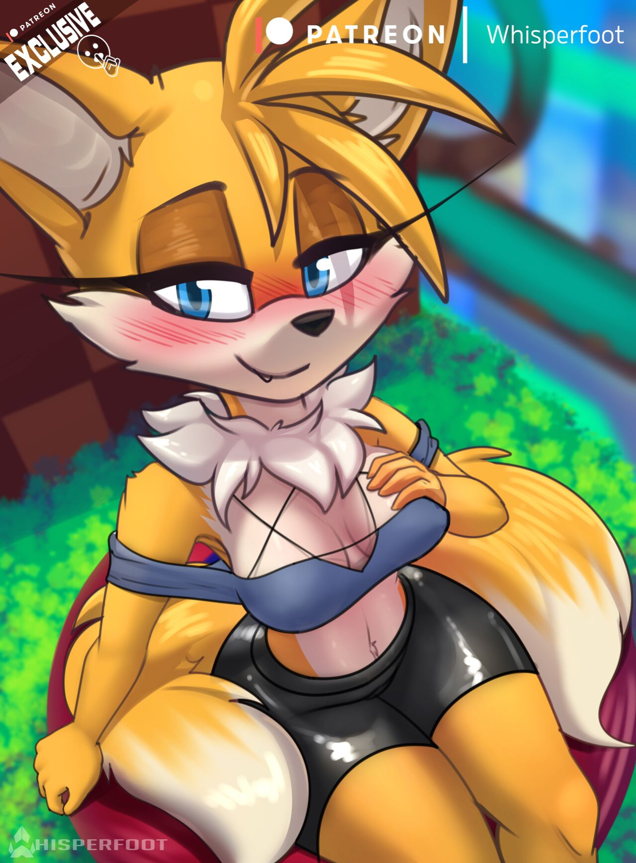Tailsko Spring Board~ (Sonic the Hedgehog)