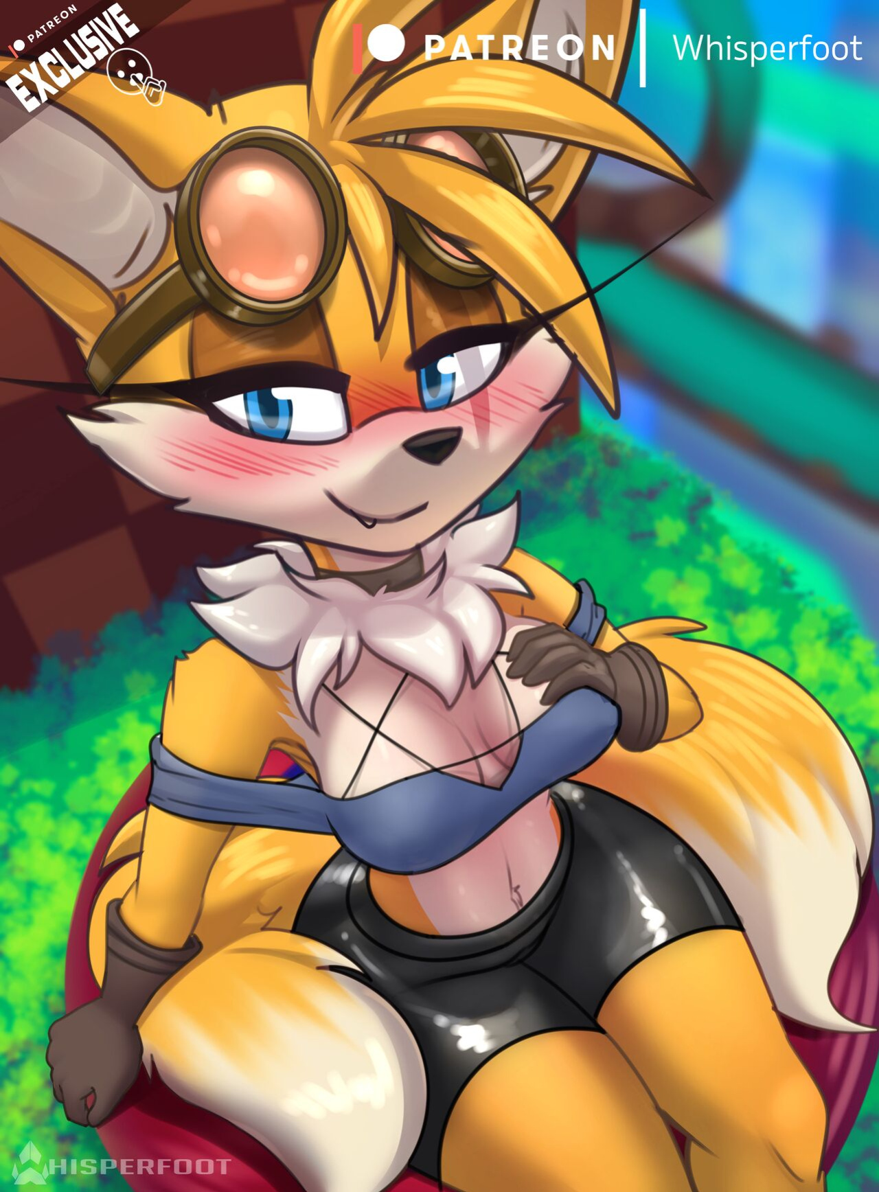 Tailsko Spring Board~ (Sonic the Hedgehog)