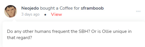 (sframboob | staaaaaar) Spirit Bathhouse (story only)
