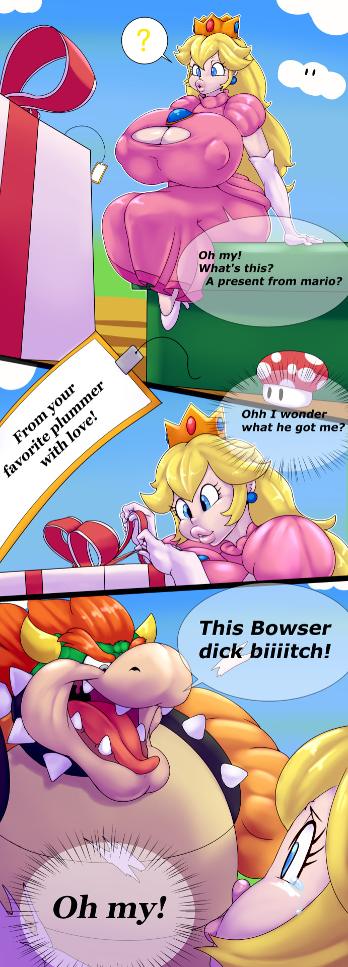 The Gift (Super Mario Bros)
