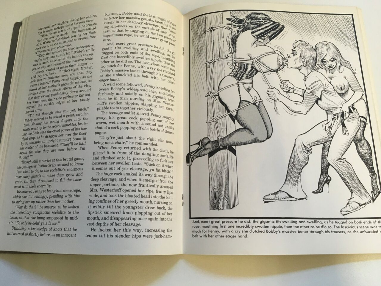 Bil Ward Teenage Sadist 1973