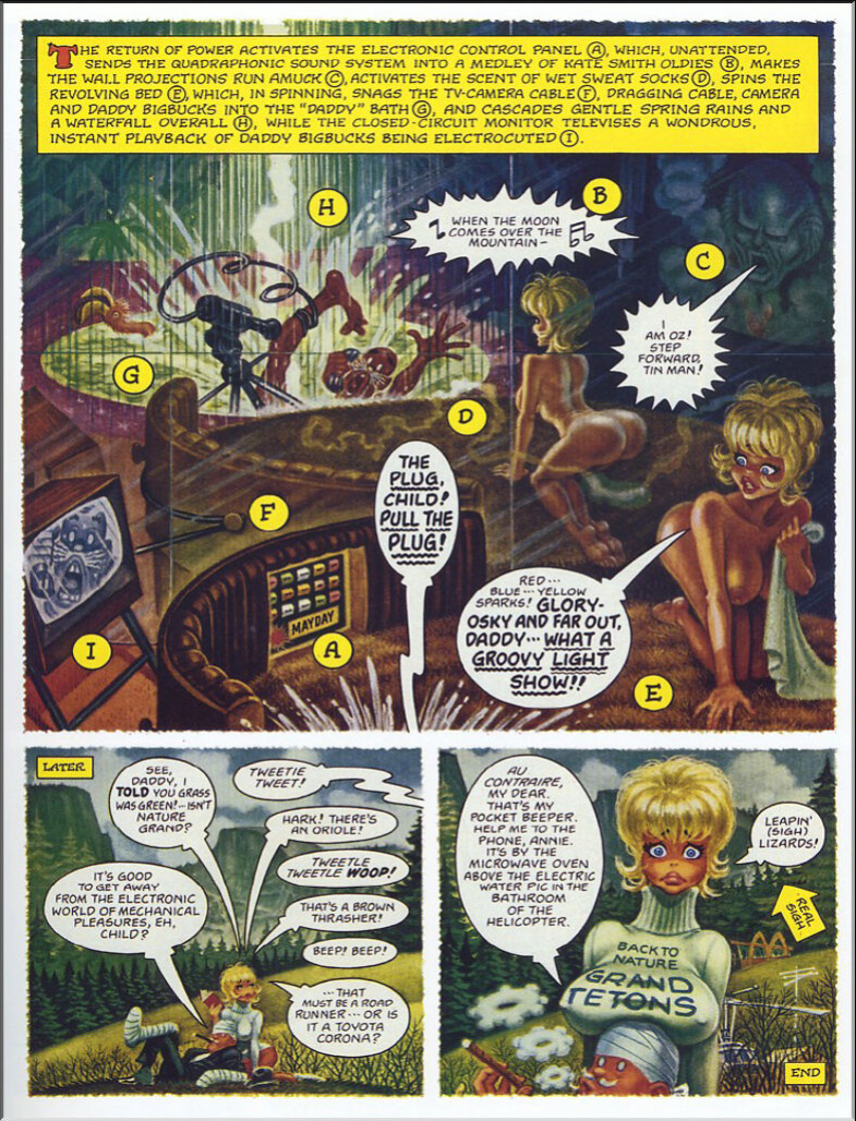 Playboy´s Little Annie Fanny Vol.2 1970-1988, Harvey Kurtzman-Will Elder