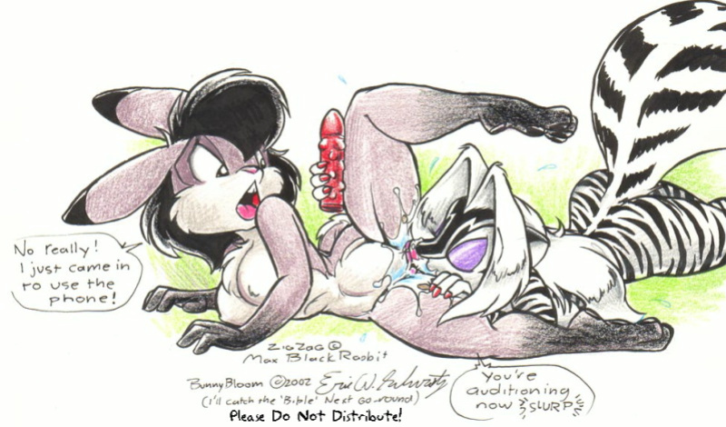 Eric Schwartz - Too Much Adult Art CD (v1.4 2004)