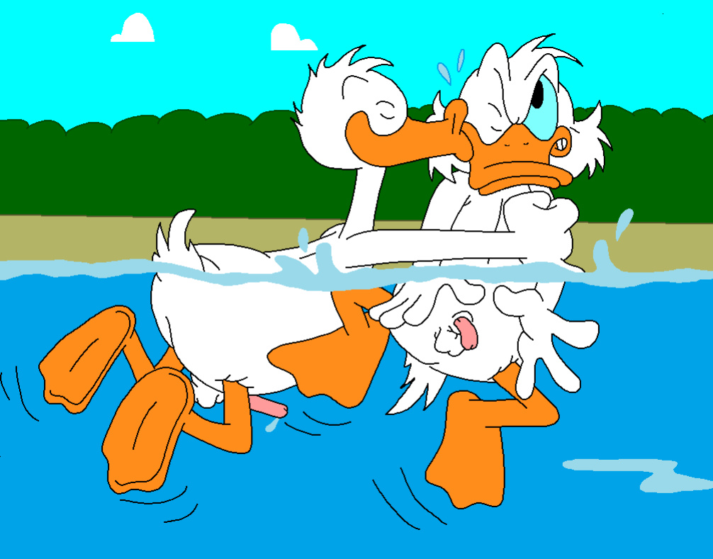 The Stalking Duck [completed]