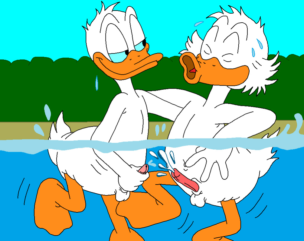 The Stalking Duck [completed]