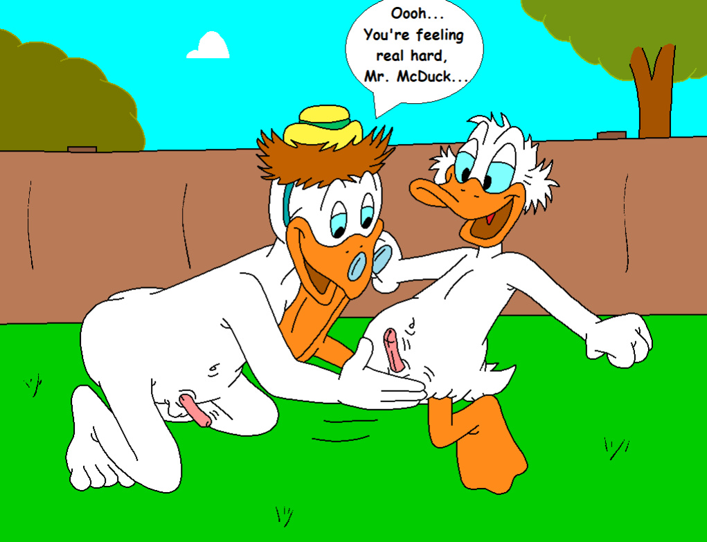 The Stalking Duck [completed]