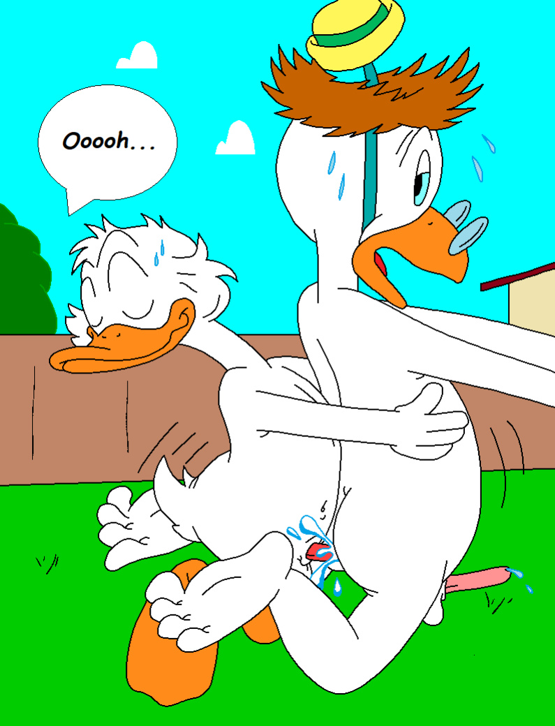 The Stalking Duck [completed]
