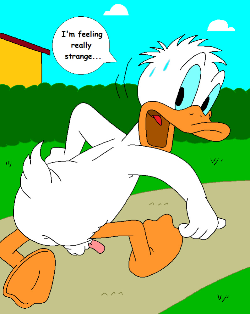 The Stalking Duck [completed]