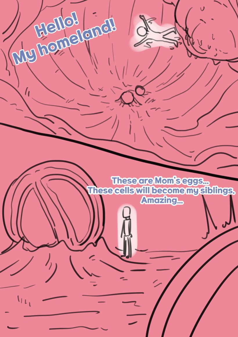 Exploration of the mother's uterus (1-7){by inside}