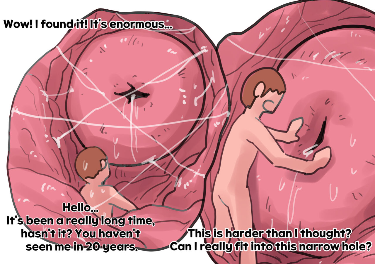 Exploration of the mother's uterus (1-7){by inside}