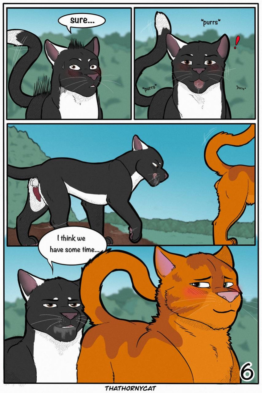 【Warriorcats】 Talltail x Jack Artist:thathornycat