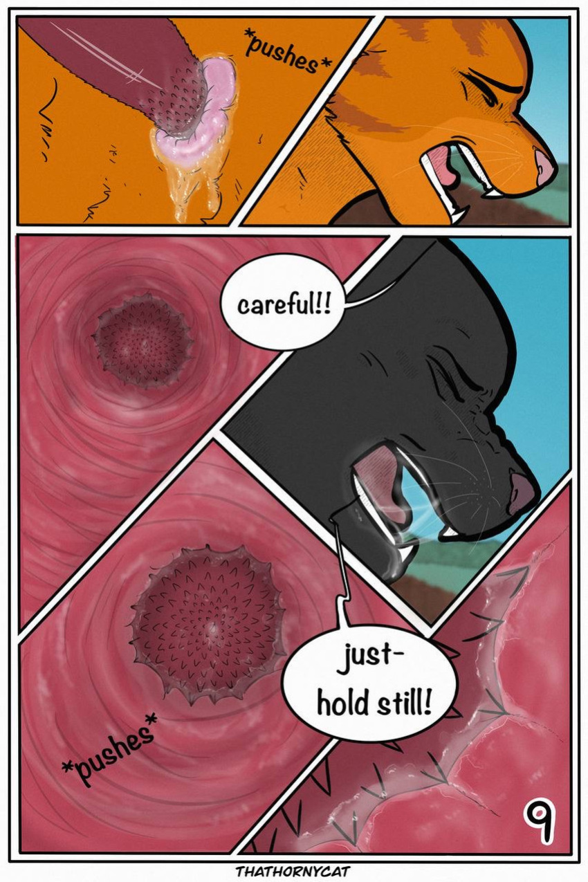 【Warriorcats】 Talltail x Jack Artist:thathornycat