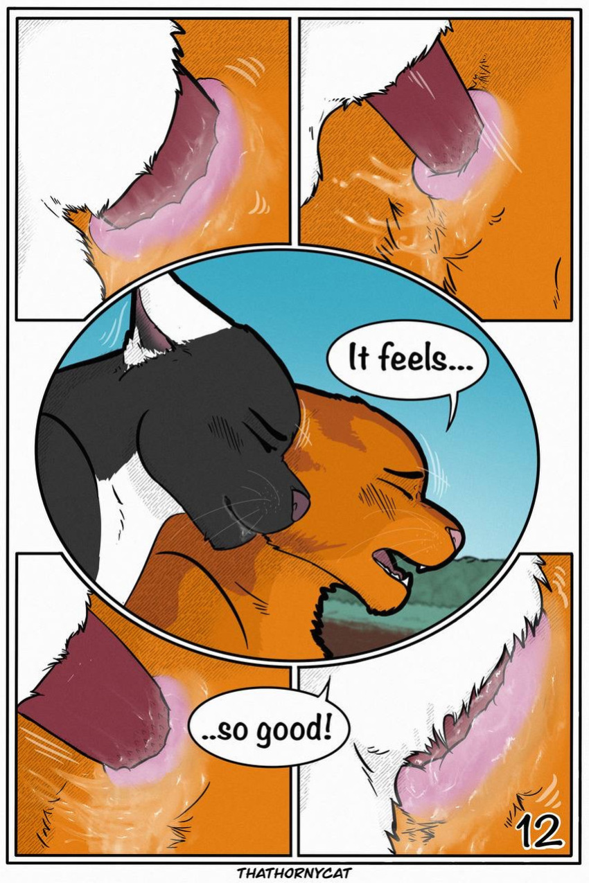 【Warriorcats】 Talltail x Jack Artist:thathornycat