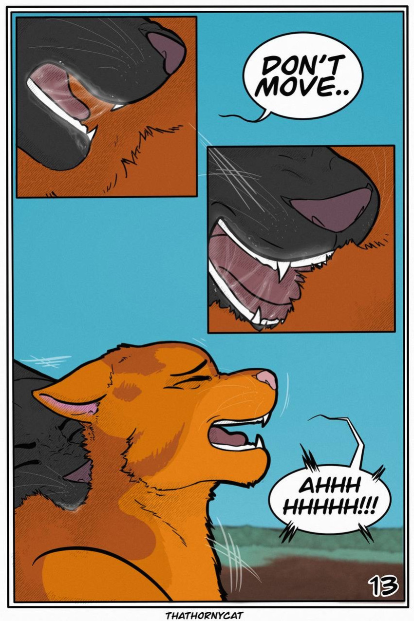【Warriorcats】 Talltail x Jack Artist:thathornycat