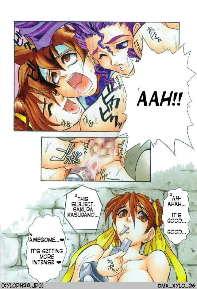 (C50) [Escargot Club (Juubaori Mashumaro)] XYLOPHONE (Street Fighter)