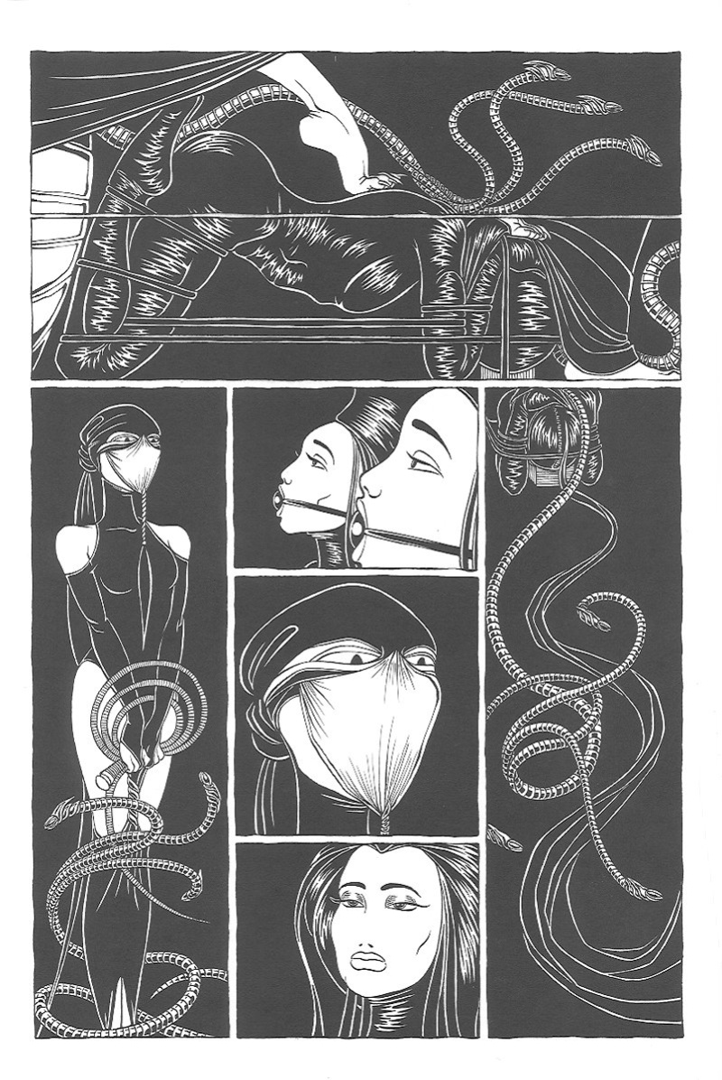 [Michael Manning] The Spider Garden