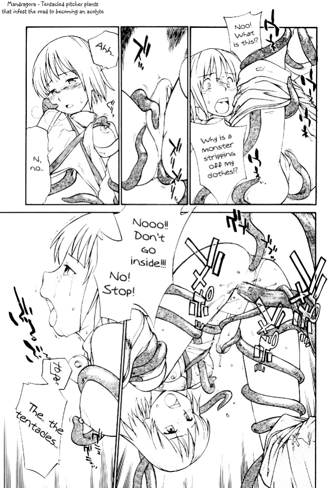 (C62) [Hinemosuan (Hinemosu Notari)] Kamigami no tasogare ni tawamureru musumetachi / Maidens Who Frolic During The Twilight Of The Gods (Ragnarok Online)