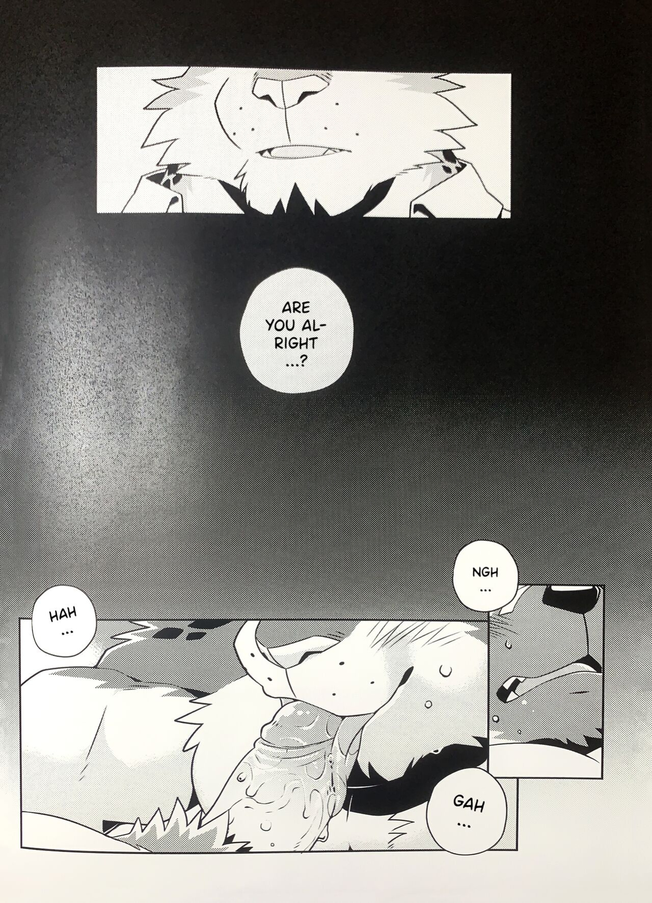 (Kemoket 13) [Wild Style (Takemoto Arashi)] WARM UP II