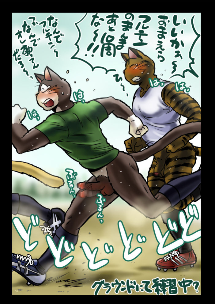 [Maririn (Korirouan)] ToraKuro HR [ENG] + Sketch