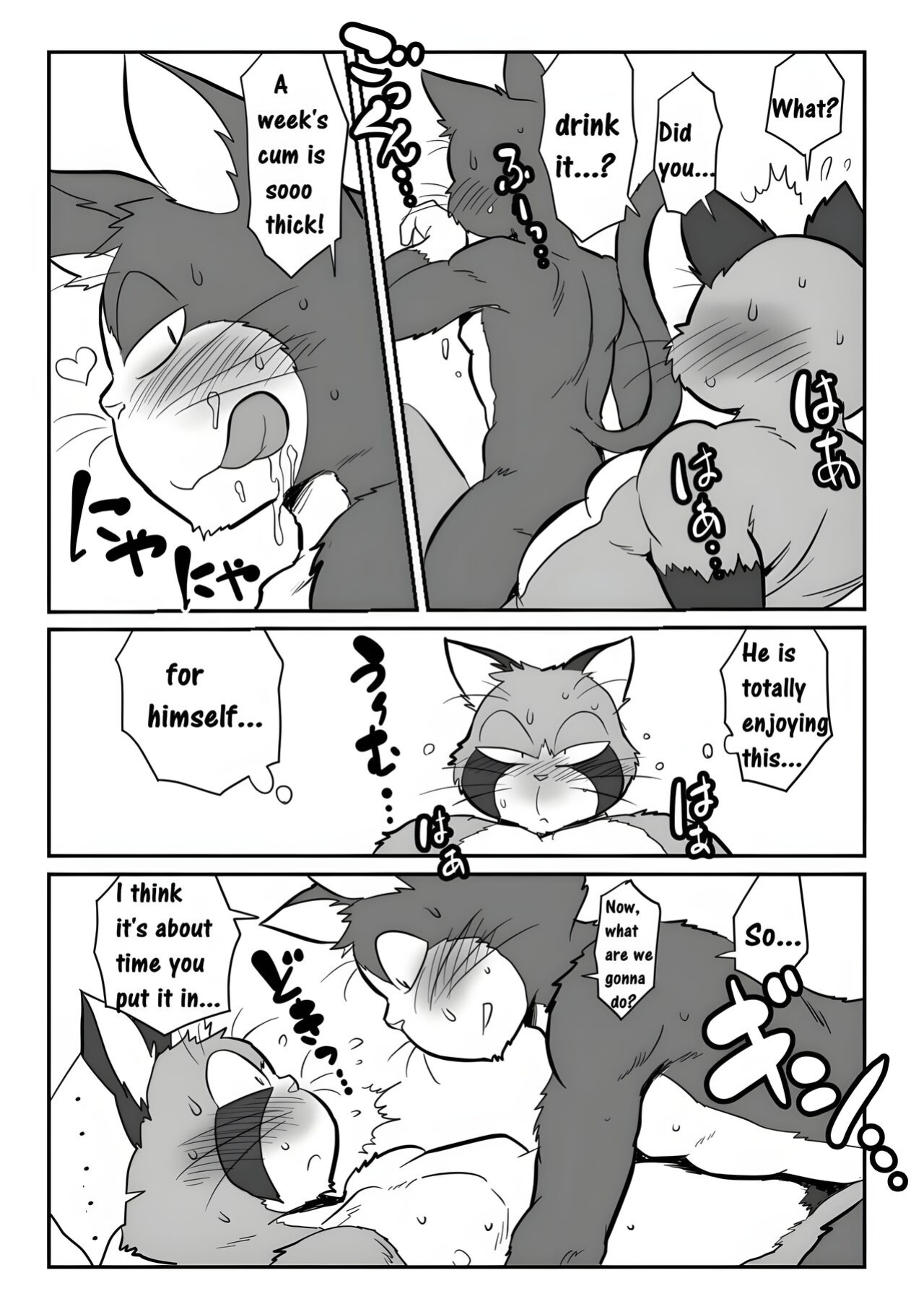[Maririn (Korirouan)] Neko X Neko 1-4 HR [ENG] + Scraps