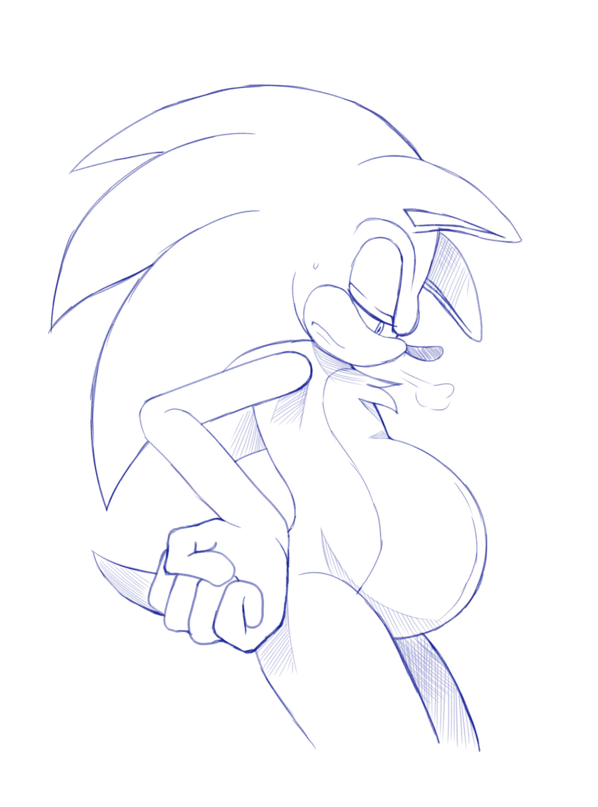 JayAero/BlueSeaMoon's Sonic Mpreg Art