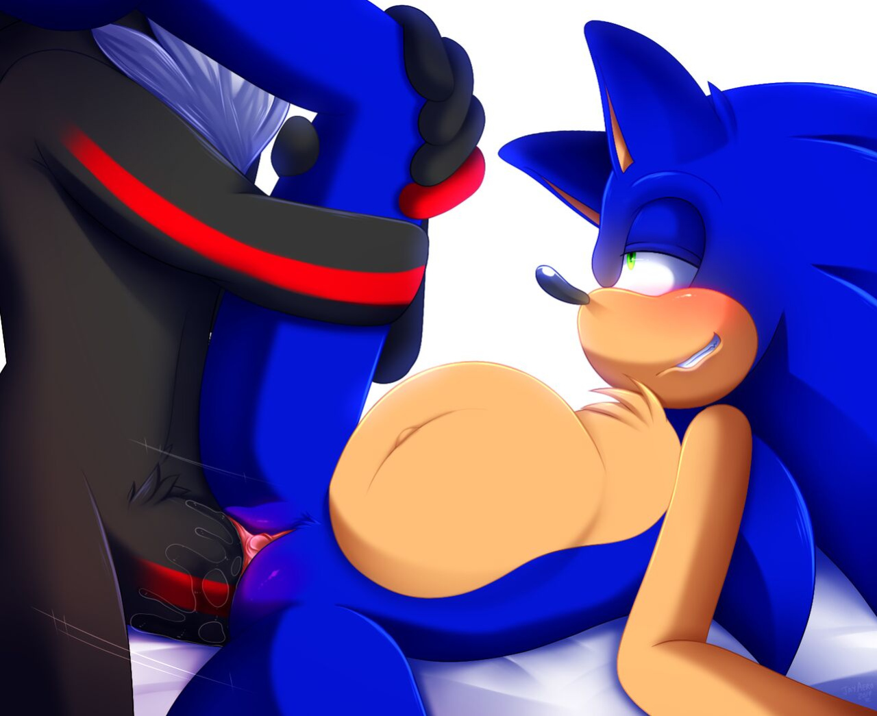 JayAero/BlueSeaMoon's Sonic Mpreg Art