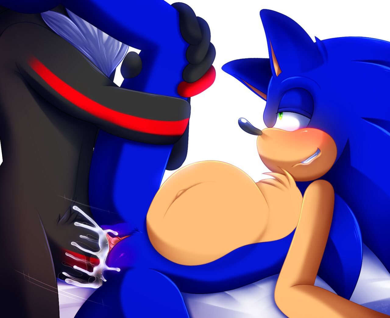 JayAero/BlueSeaMoon's Sonic Mpreg Art