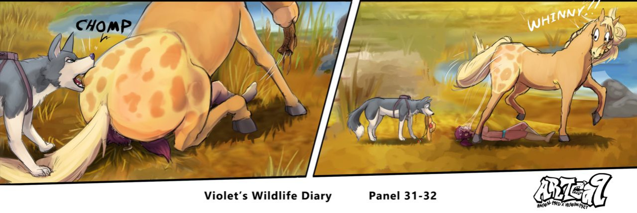 Violets Wildlife Diary CH 1-3