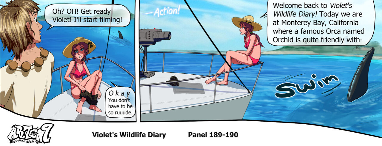 Violets Wildlife Diary CH 1-3