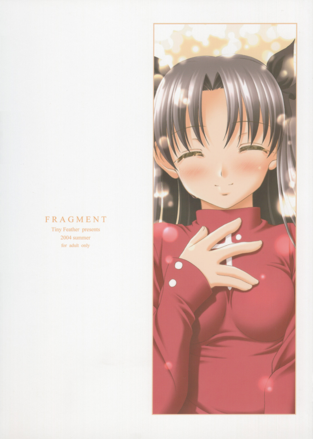 (C66) [Tiny Feather (Sin-Go)] FRAGMENT Tiny Feather (Fate/stay night)