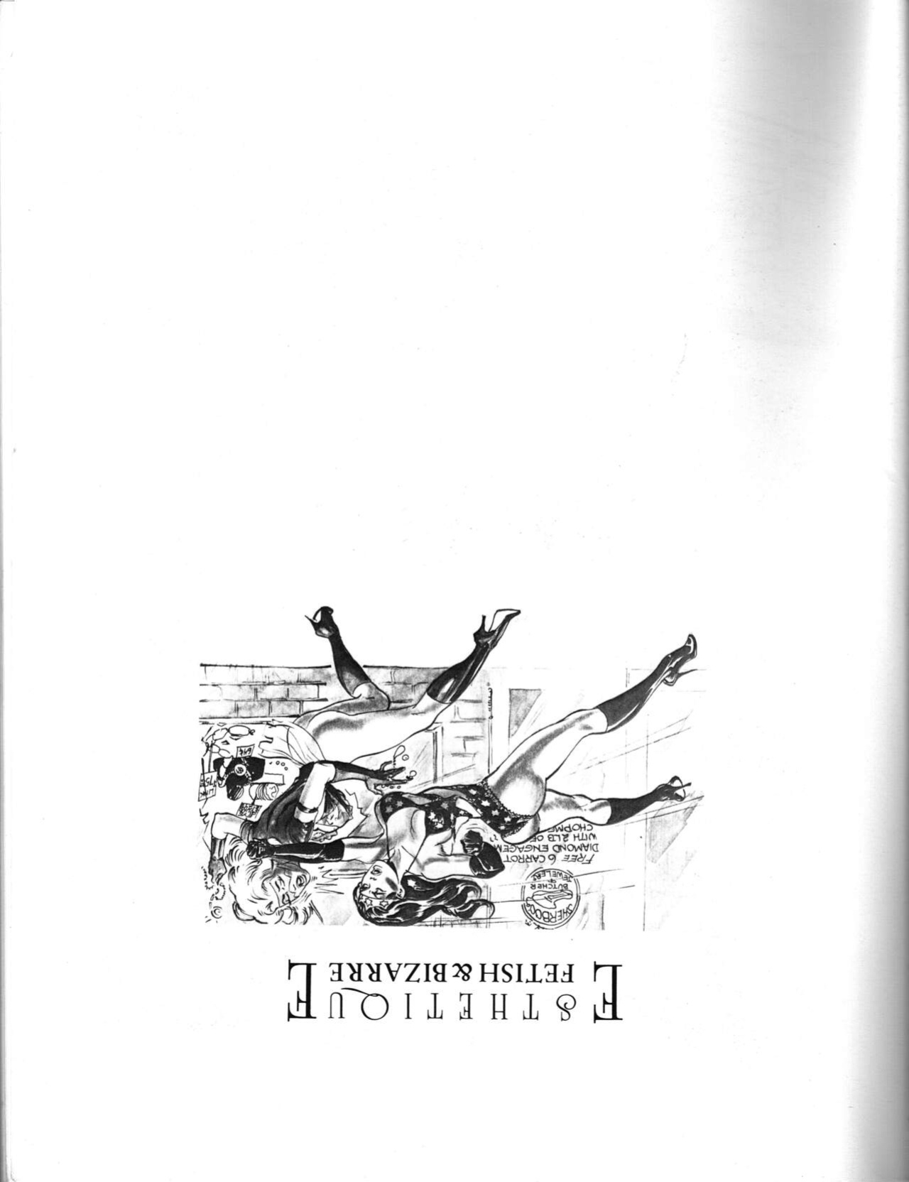 Eric Stanton's Blunder Broad - A Comix Serial - Esthetique Fetish & Bizzarre - Glittering Images