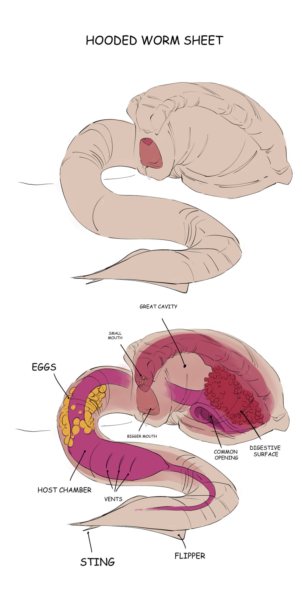 Platamatina - Hooded Worm