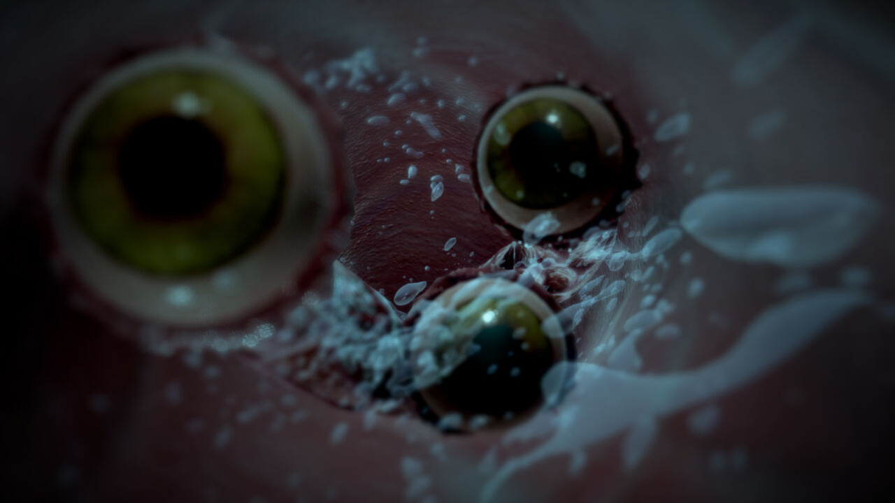 Evil Infection 3 Episode 1～Episode 4