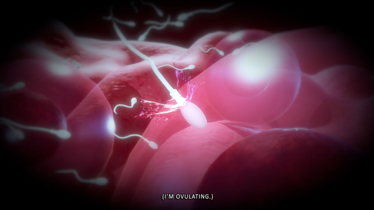Evil Infection 3 Episode 1～Episode 4