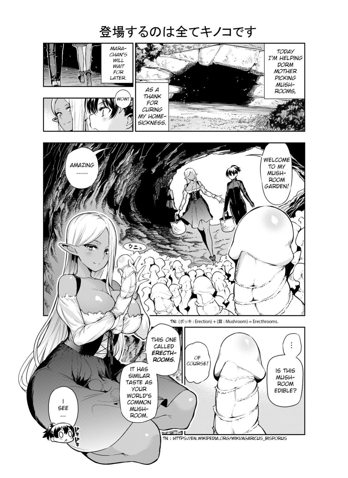 [Kawakami Masaki] Futanari no Elf