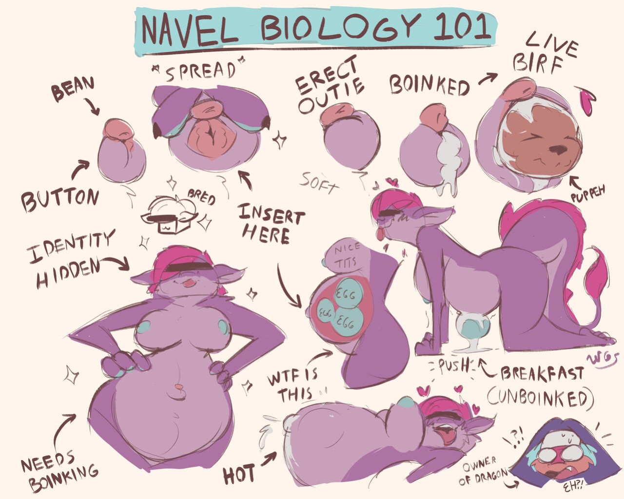 [WildeGems] Navel Biology 101 (Redux)