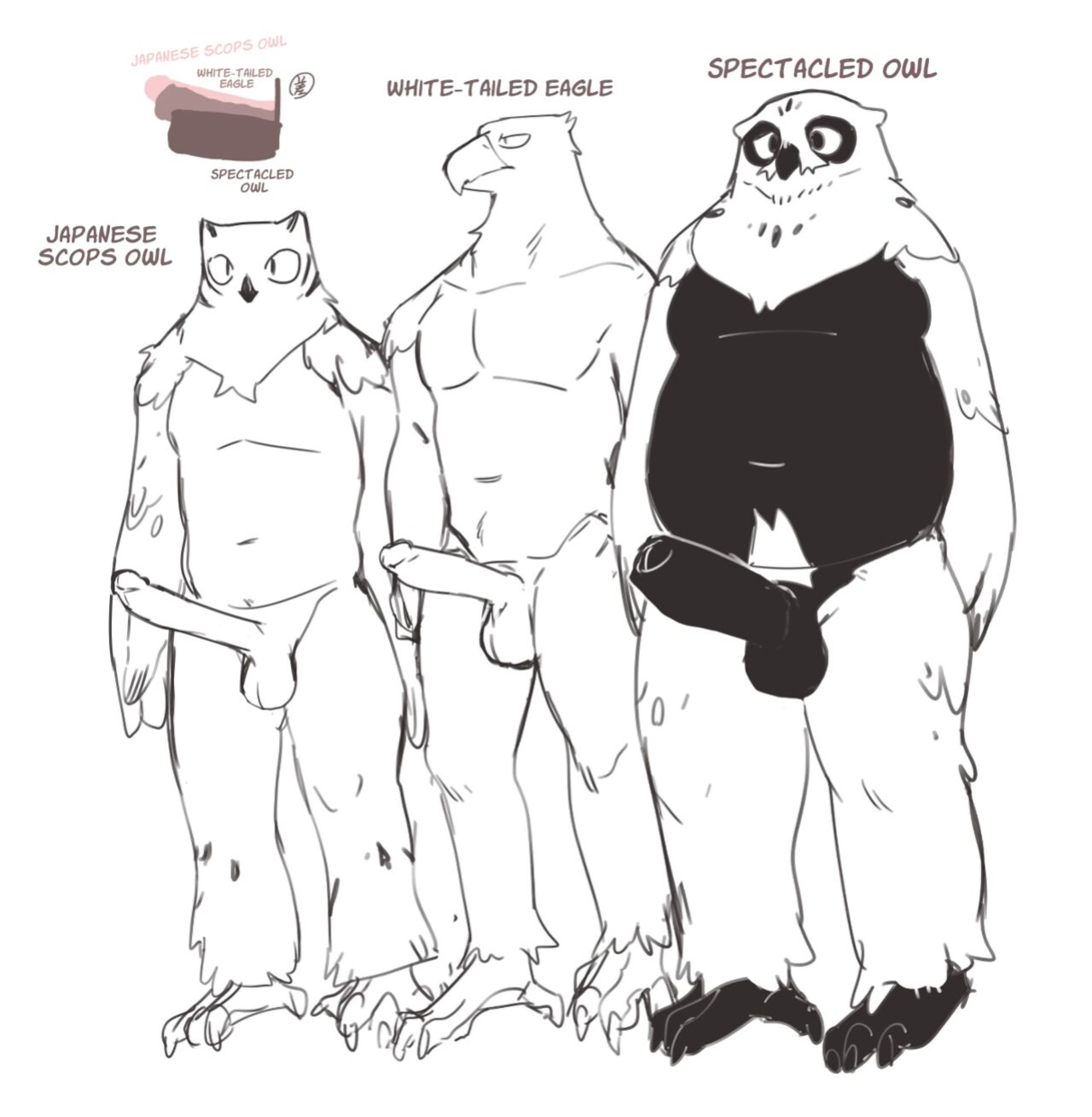 [INAX] White-Tailed Eagle and Owls
