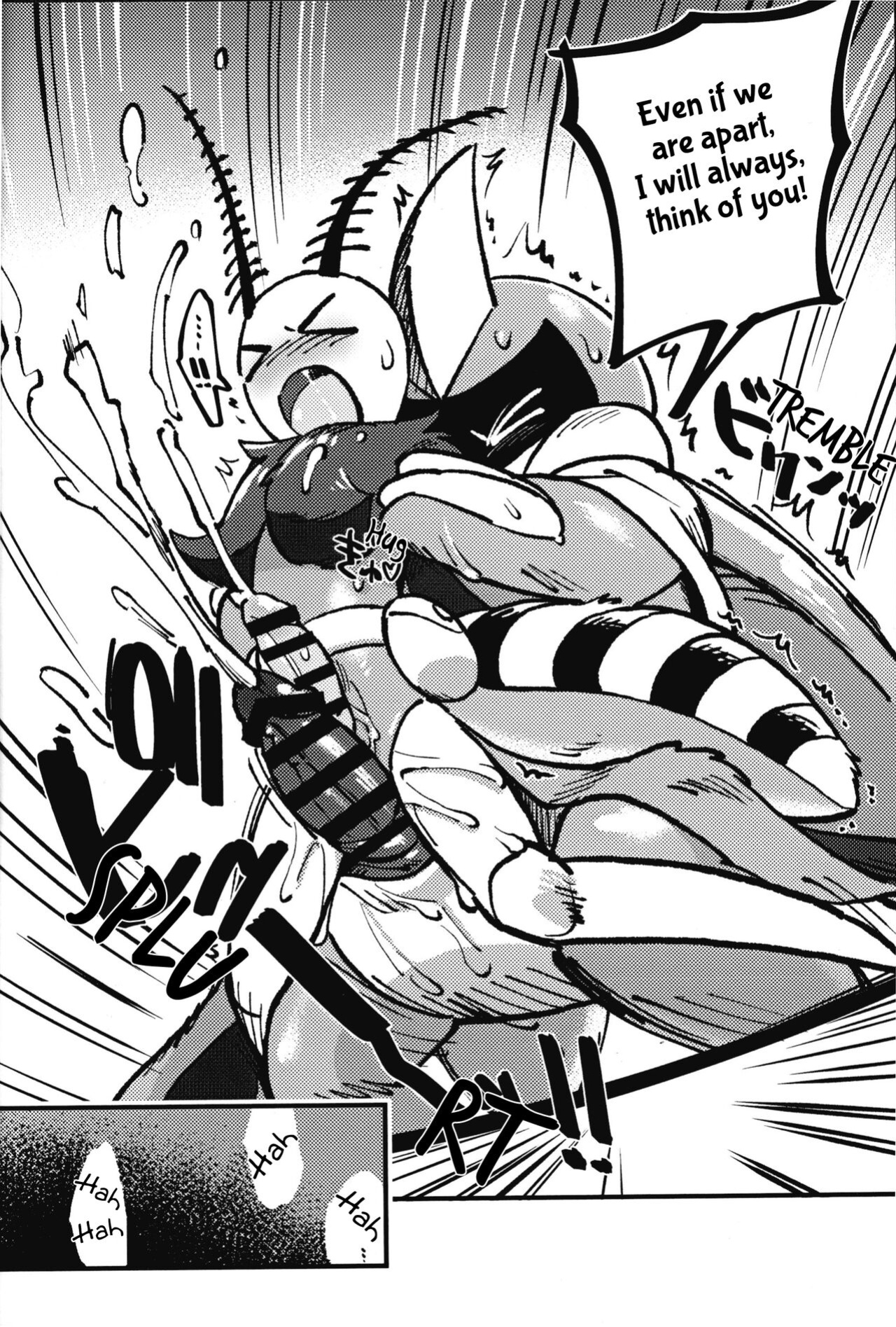 [Marucolony] Isn't This What They Call a Kabuto Match?